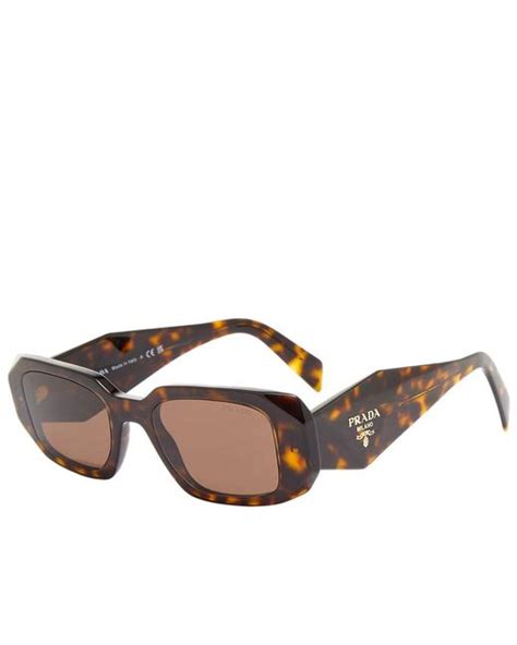 brown prada sunglasses men|Prada symbole sunglasses tortoise.